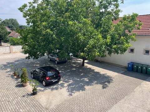 Fotó 13