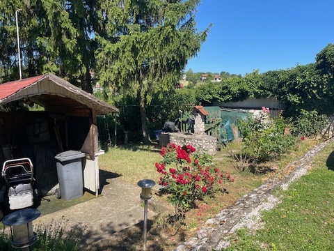 Fotó 6