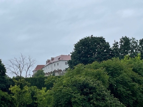 Fotó 19