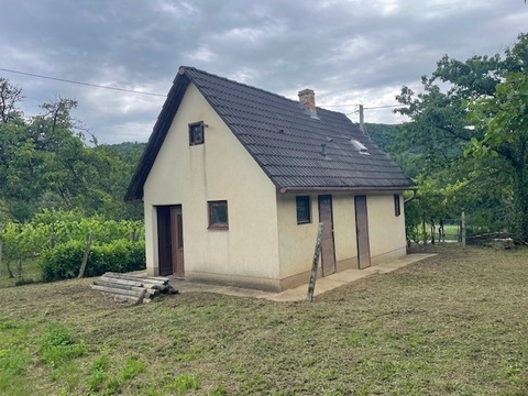 Fotó 5