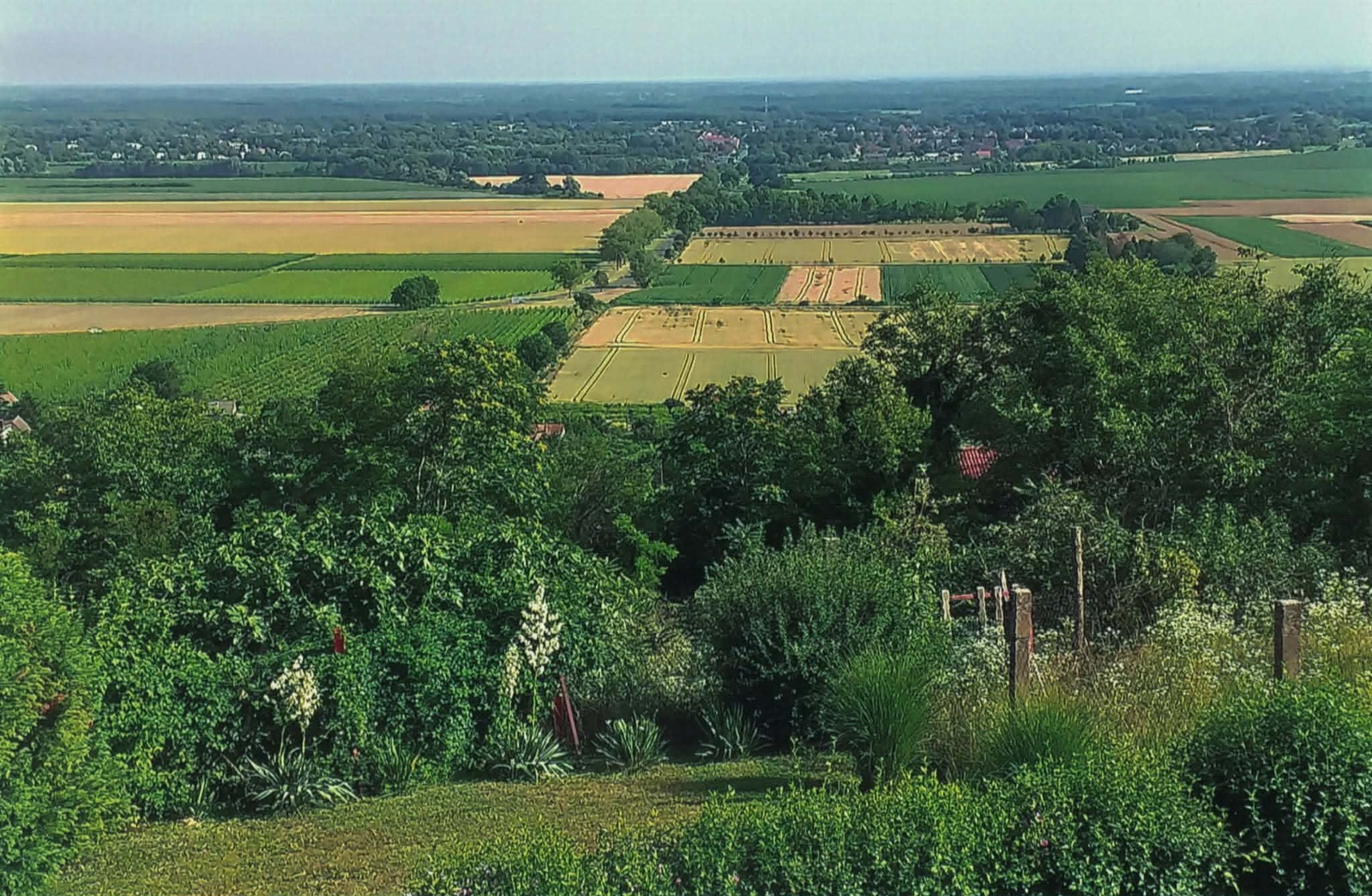 Fotó 36