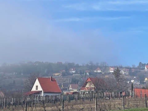 Fotó 7