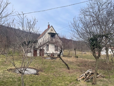 Fotó 13