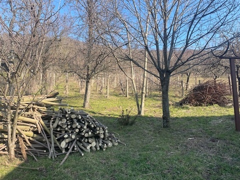 Fotó 2