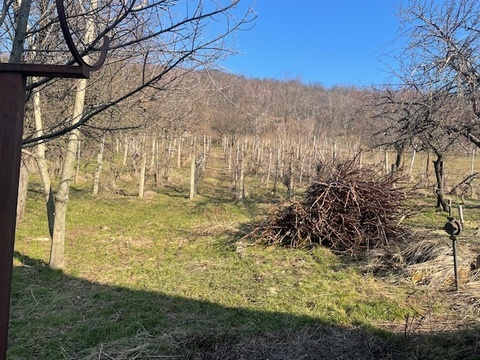 Fotó 8