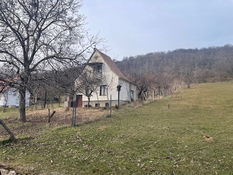 Fotó 14