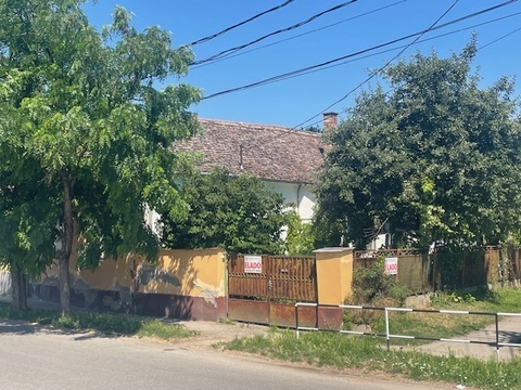 Fotó 10