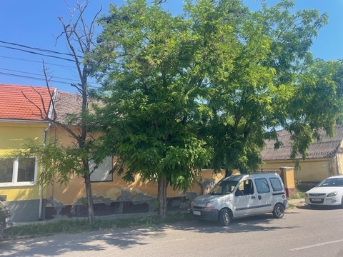 Fotó 12