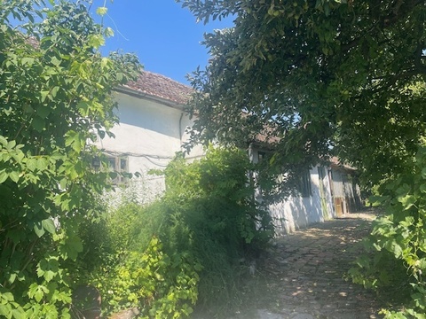Fotó 11