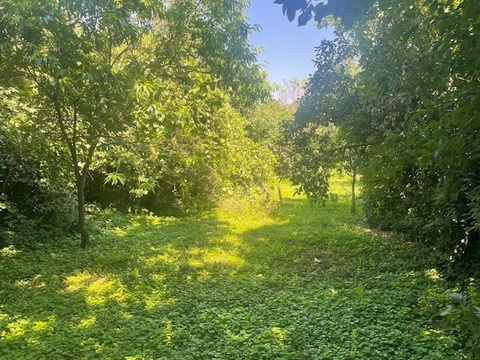 Fotó 9