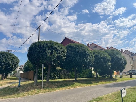 Fotó 10
