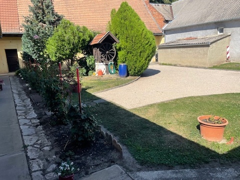 Fotó 9