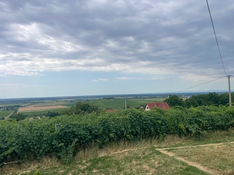 Fotó 3