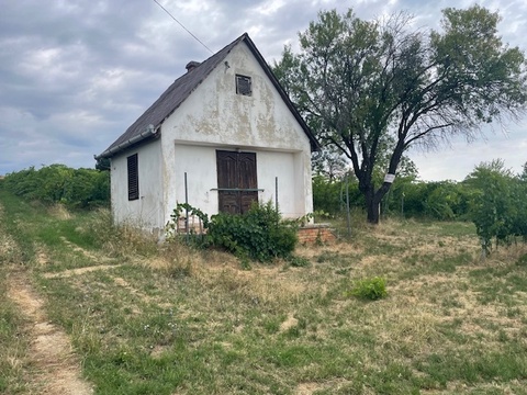 Fotó 4