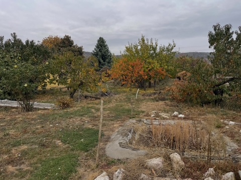 Fotó 15