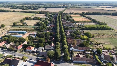 Fotó 2