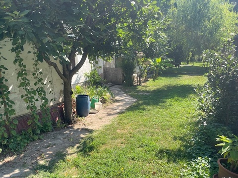 Fotó 10